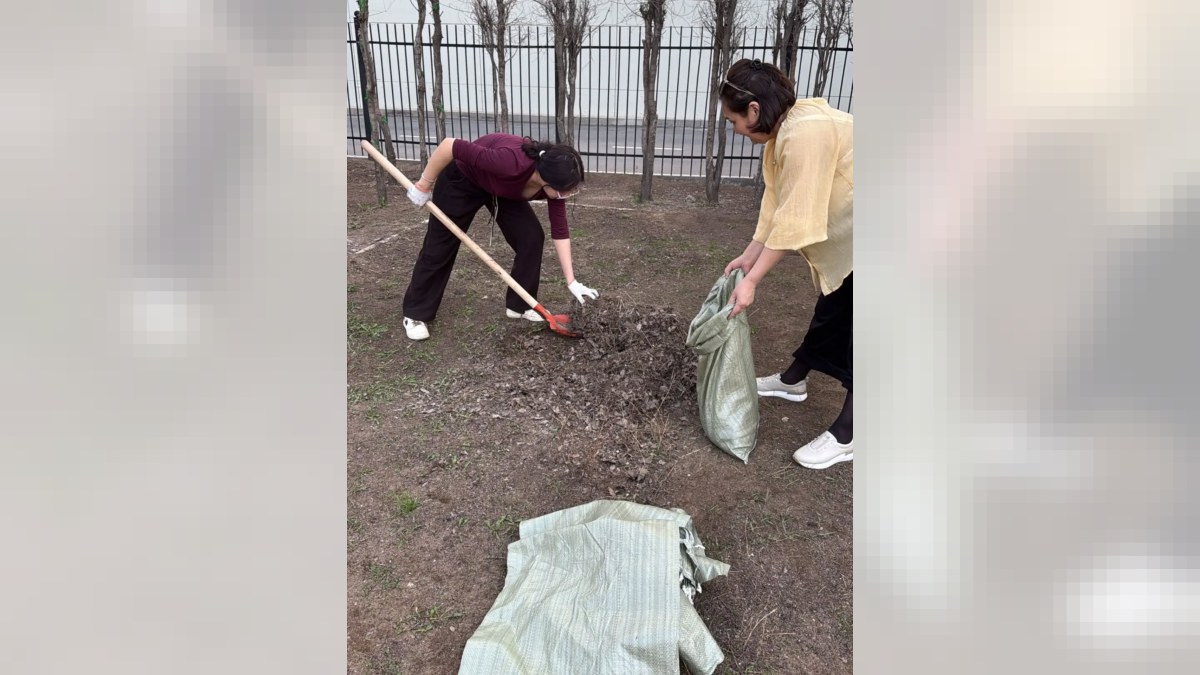 "Заң мен тәртіп" идеологиясын ілгерілету аясында біздің балабақшада аумақты...